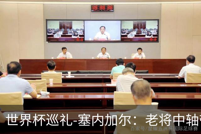 世界杯巡礼-塞内加尔：老将中轴带来安全感，非洲顶流前景可期！